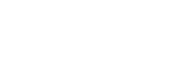 روڈو پی logo
